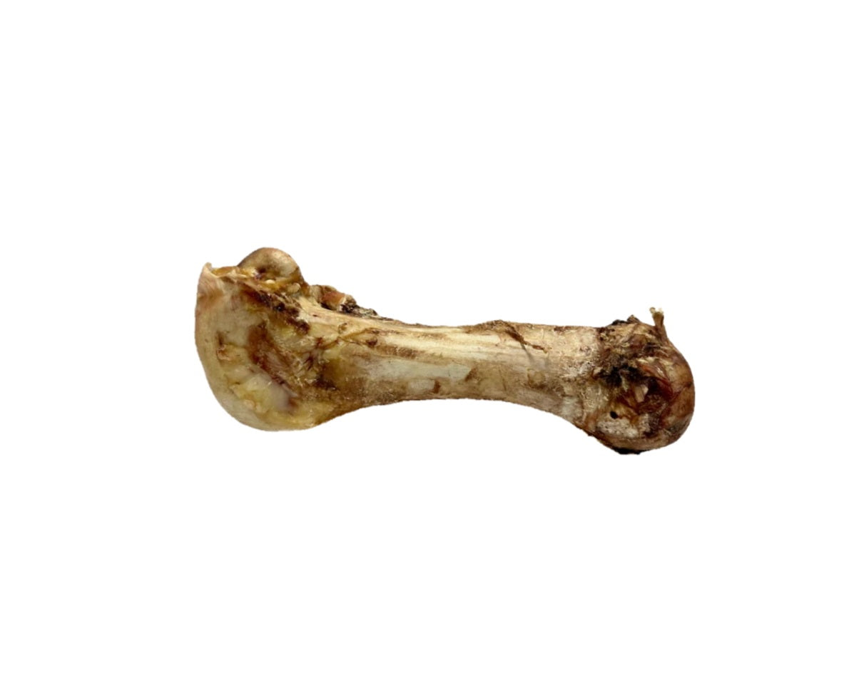 Ostrich Bone Jumbo £13.00